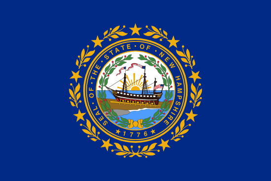 New Hampshire flag